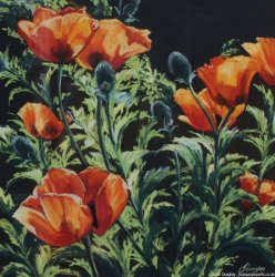 Poppies